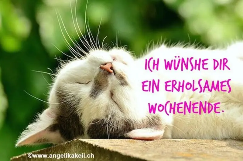 Condolence image of Jeannette mit Sisi und Lissy im ❤️