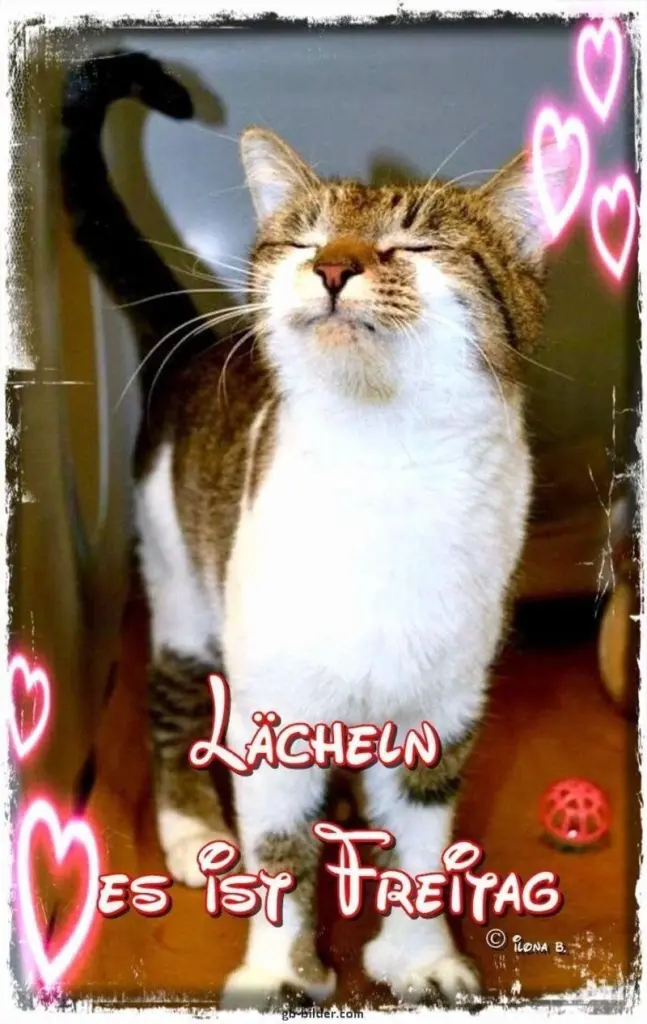 Condolence image of Patricia mit Bunny 