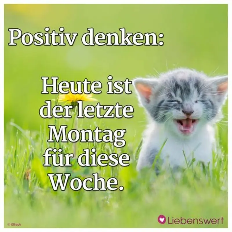 Condolence image of Patricia mit Bunny 