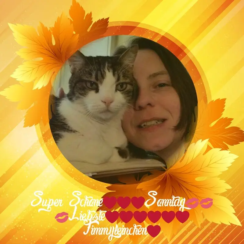 Condolence image of Sonntags❤️Rosen❤️❤️❤️fur Timmylein❤️