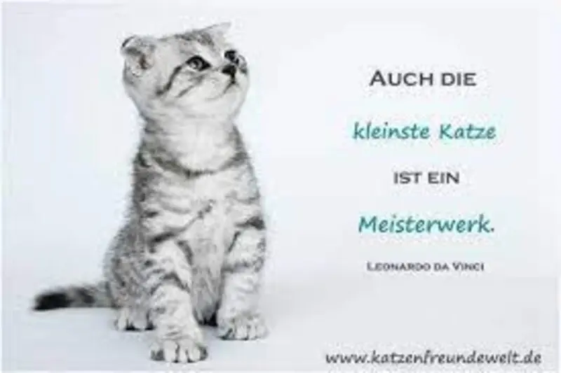 Condolence image of Jutta mit Flash ❤️