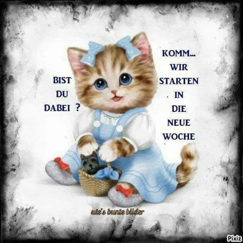 Condolence image of Patricia mit Bunny 