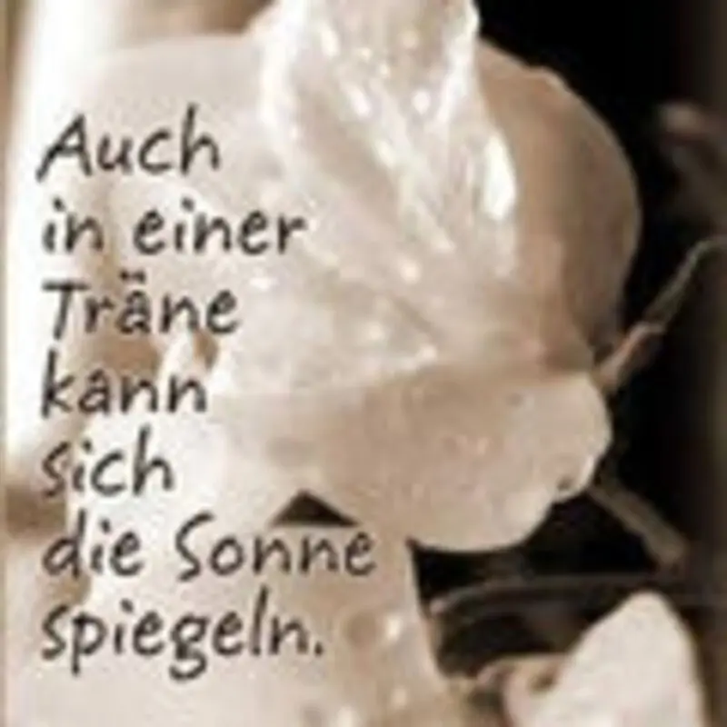 Condolence image of Evelyn mit Nele, Lara u. Fleckchen tief im Herzen