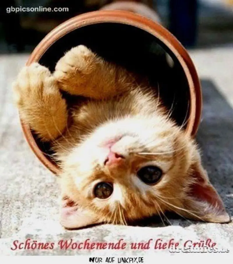 Condolence image of Für das Engelchen Timmy und Mama Tanja ♥️