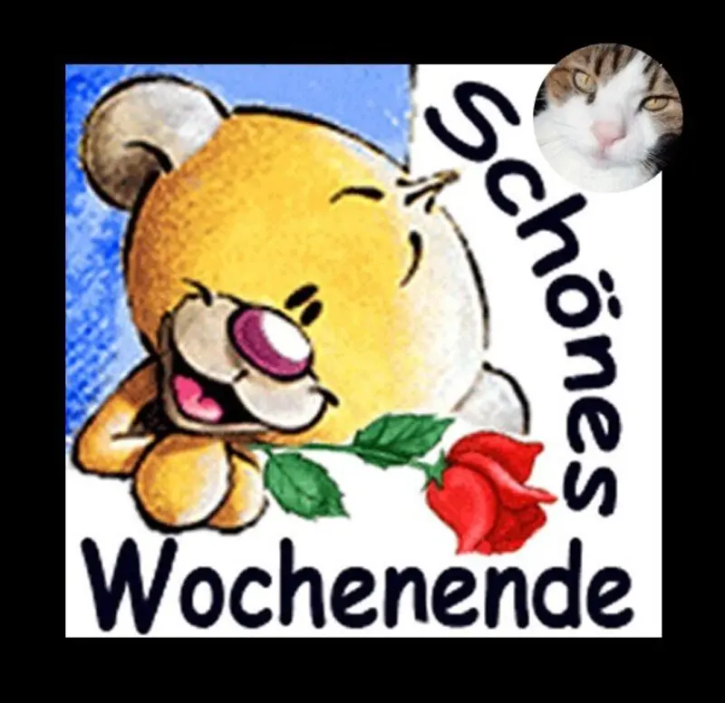 Condolence image of Post von Timmy ❤