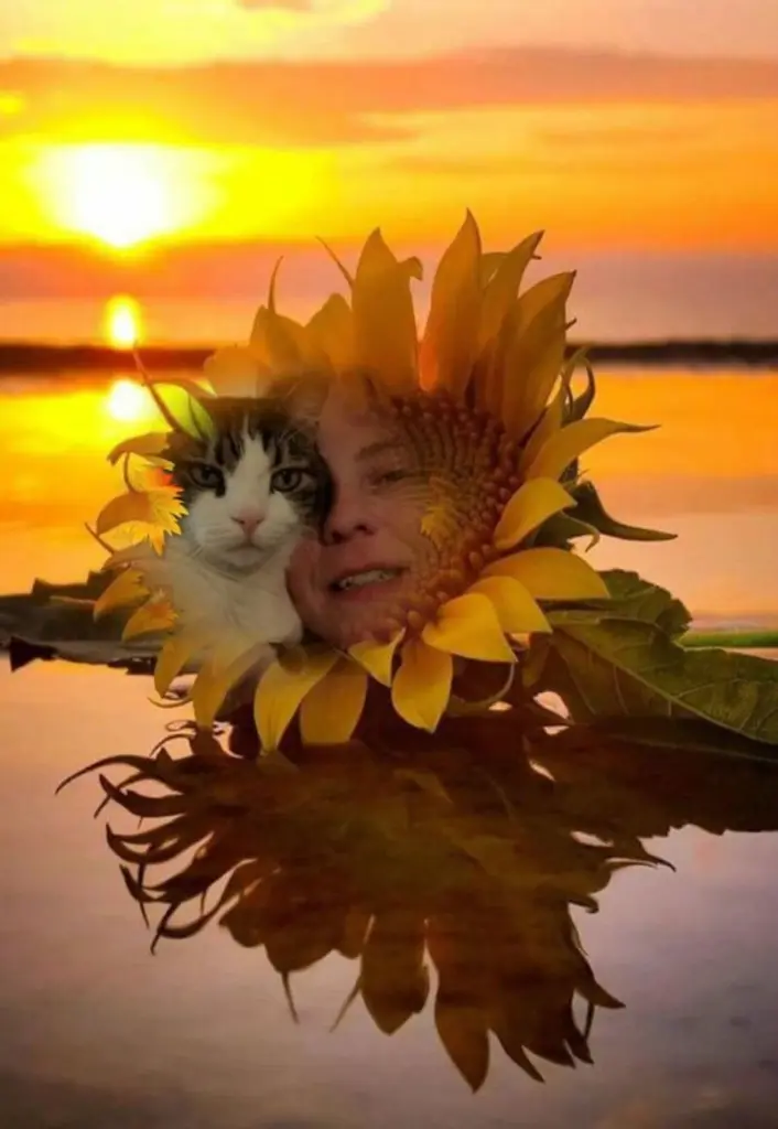 Condolence image of ❤️❤️❤️❤️❤️❤️❤️❤️❤️❤️❤️❤️❤️❤️