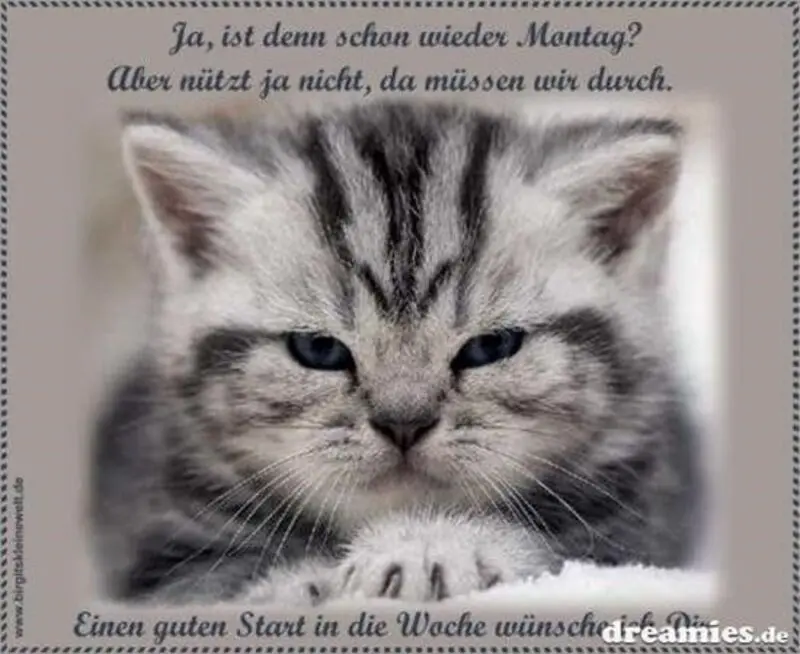 Condolence image of Patricia mit Bunny 