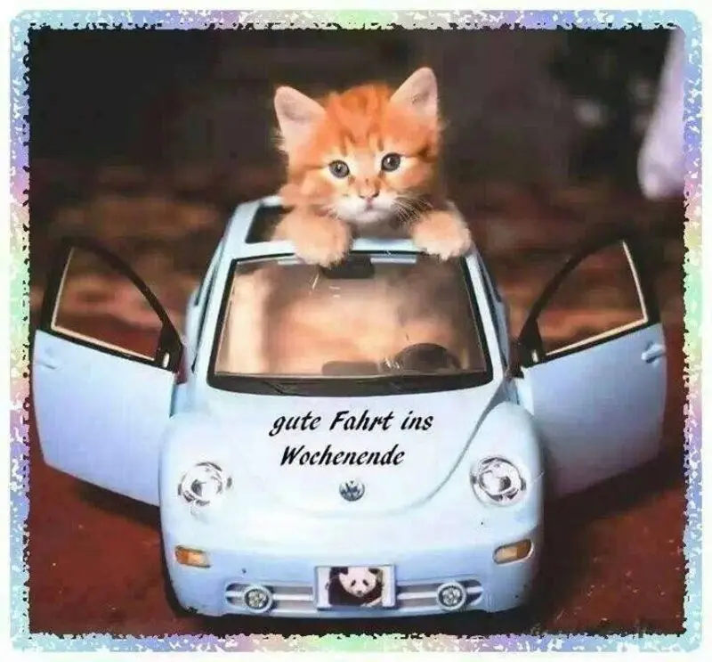 Condolence image of Patricia mit Bunny 