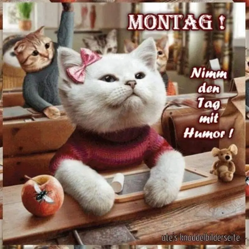 Condolence image of Patricia mit Bunny 