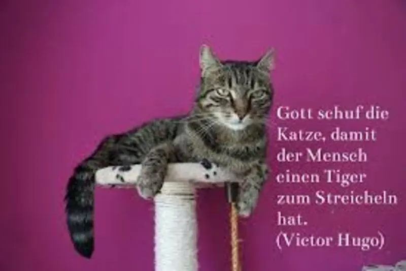 Condolence image of Jutta mit Flash im ❤️