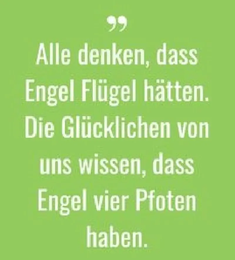 Condolence image of Daniela mit Pauline im ♥️ (+27.05.2021)