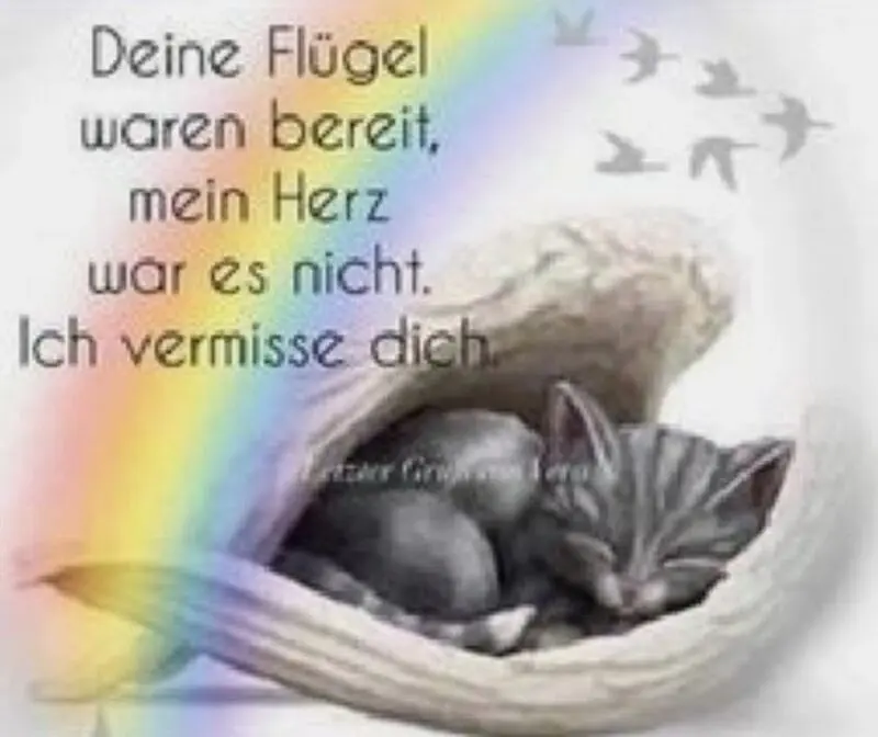 Condolence image of Daniela mit Pauline im ♥️ (+27.05.2021)