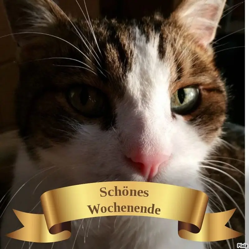 Condolence image of Patricia mit Bunny 