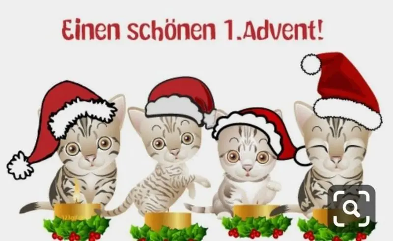 Condolence image of Andrea mit Minki im ❤