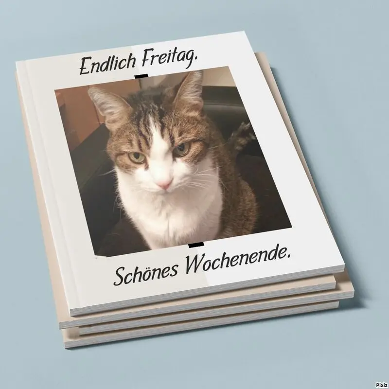 Condolence image of Patricia mit Bunny 