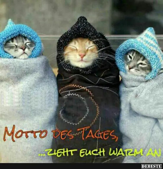 Condolence image of Für das Engelchen Timmy ♥️