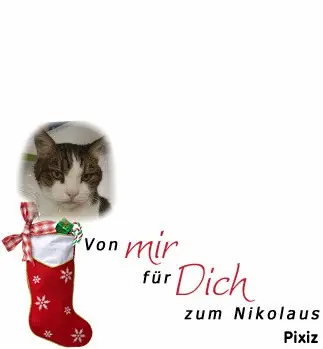 Condolence image of Patricia mit Bunny