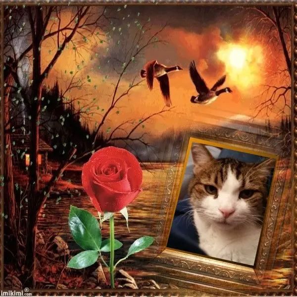 Condolence image of Patricia mit Bunny 