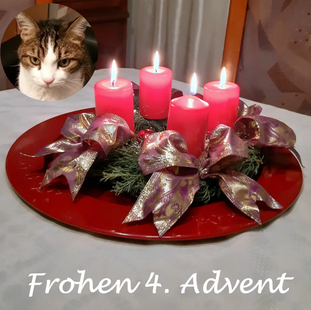 Condolence image of Patricia mit Bunny 