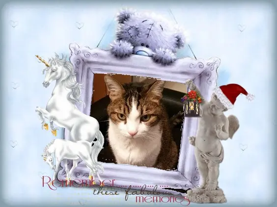 Condolence image of Sternchenpost ⭐