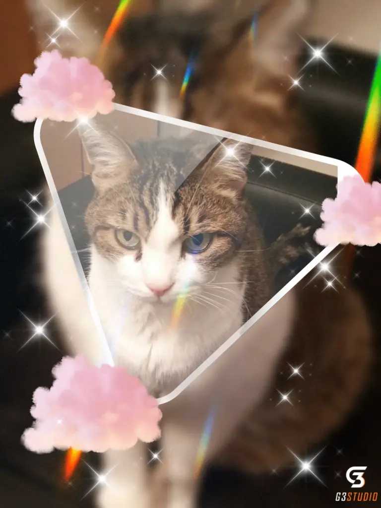 Condolence image of Sternchenpost ⭐