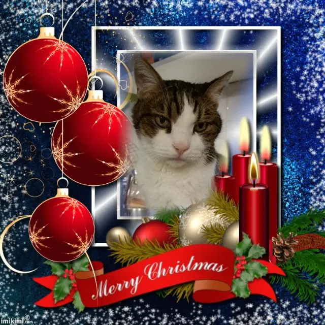 Condolence image of Patricia mit Bunny