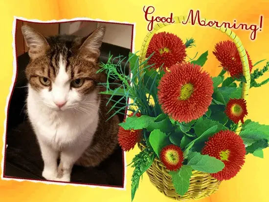 Condolence image of Patricia mit Bunny 