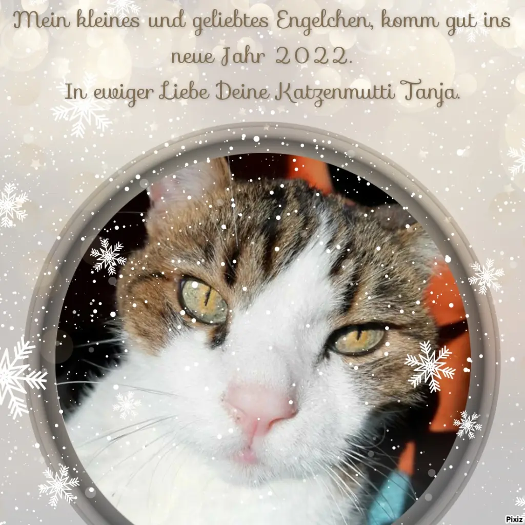 Condolence image of Von Deinem Frauchen Tanja