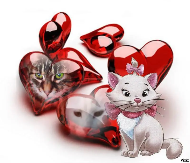 Condolence image of Für das Engelchen Timmy und Mama Tanja ♥️