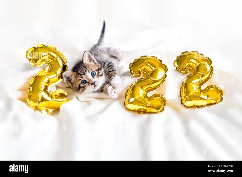 Condolence image of Gabi mit Max ❣️