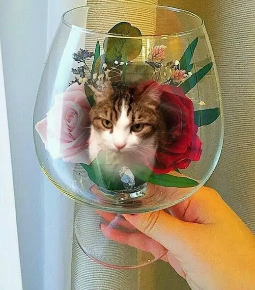 Condolence image of Patricia mit Bunny