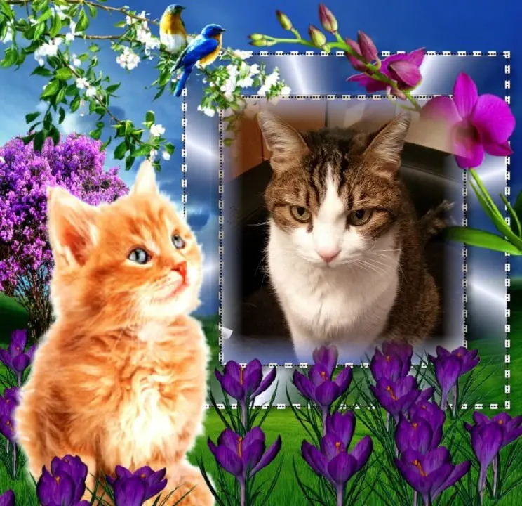 Condolence image of Patricia mit Bunny