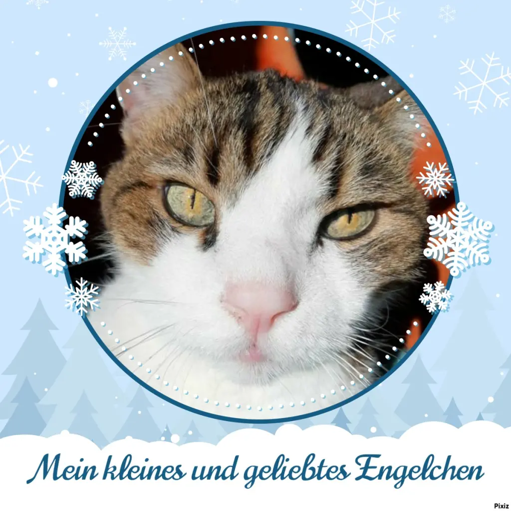 Condolence image of Von Deinem Frauchen Tanja