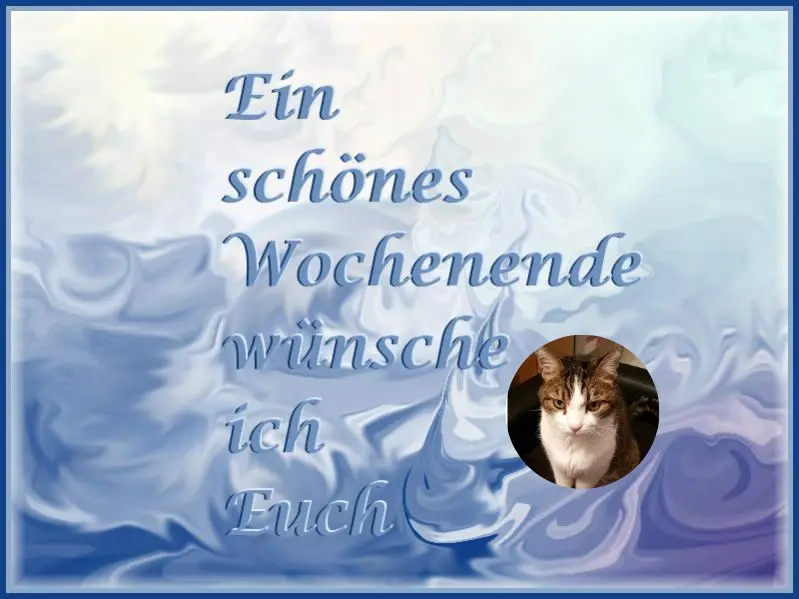 Condolence image of Patricia mit Bunny 