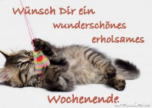 Condolence image of Für das Engelchen Timmy ♥️