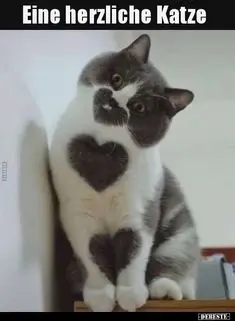 Condolence image of Jutta mit Flash ❤️