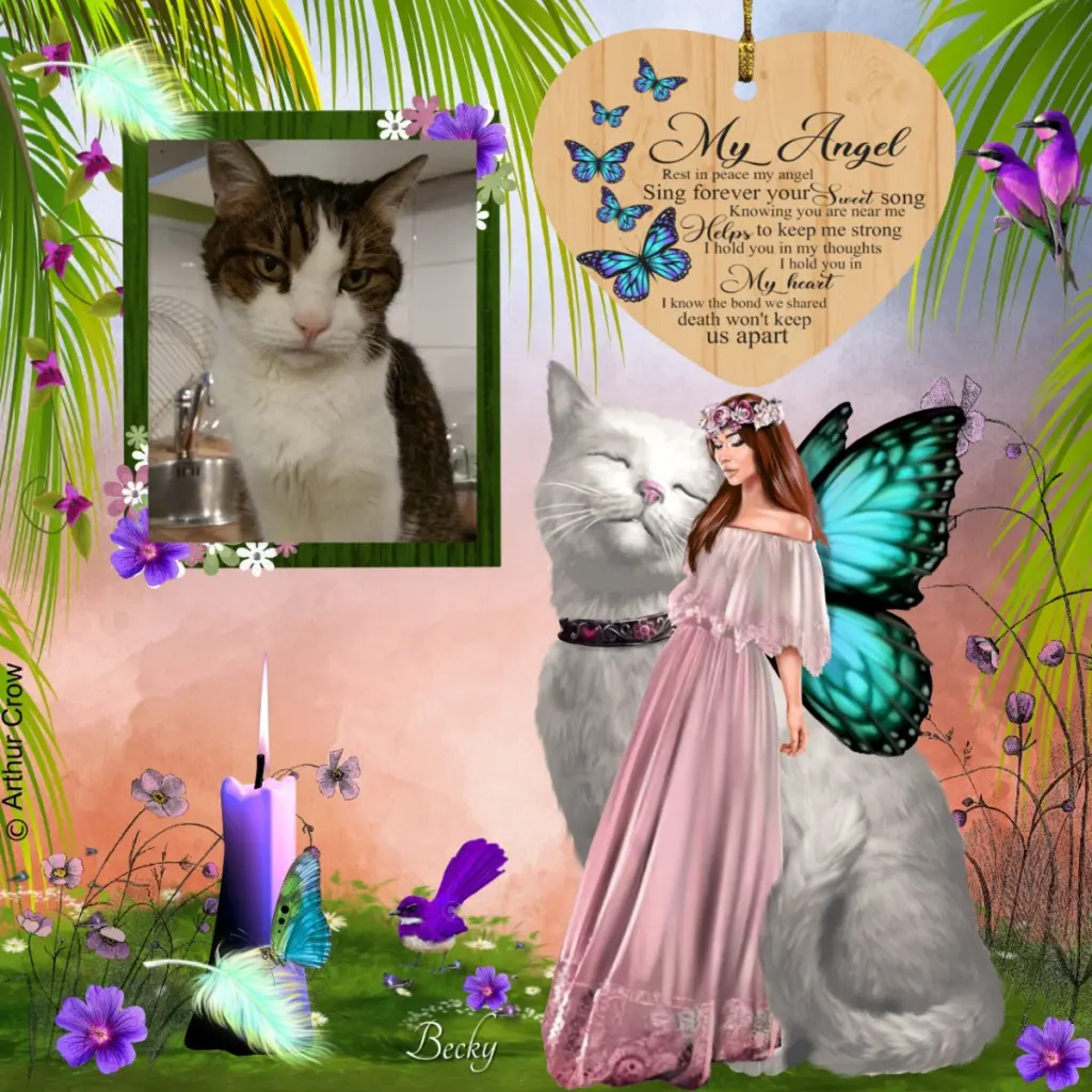 Condolence image of Patricia mit Bunny 