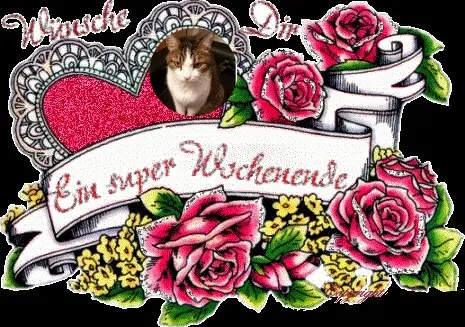 Condolence image of Patricia mit Bunny 