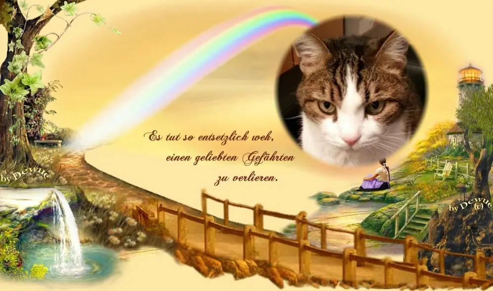 Condolence image of Sternchenpost ⭐