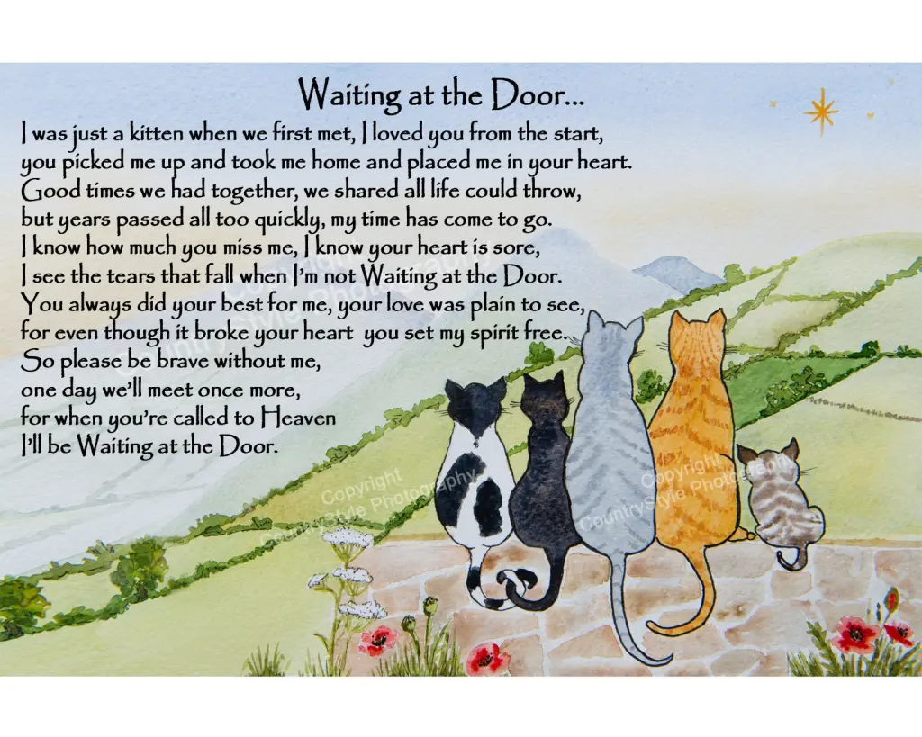 Condolence image of Corinna mit Emma, Pummelchen und anderen Sternleine im Herzen