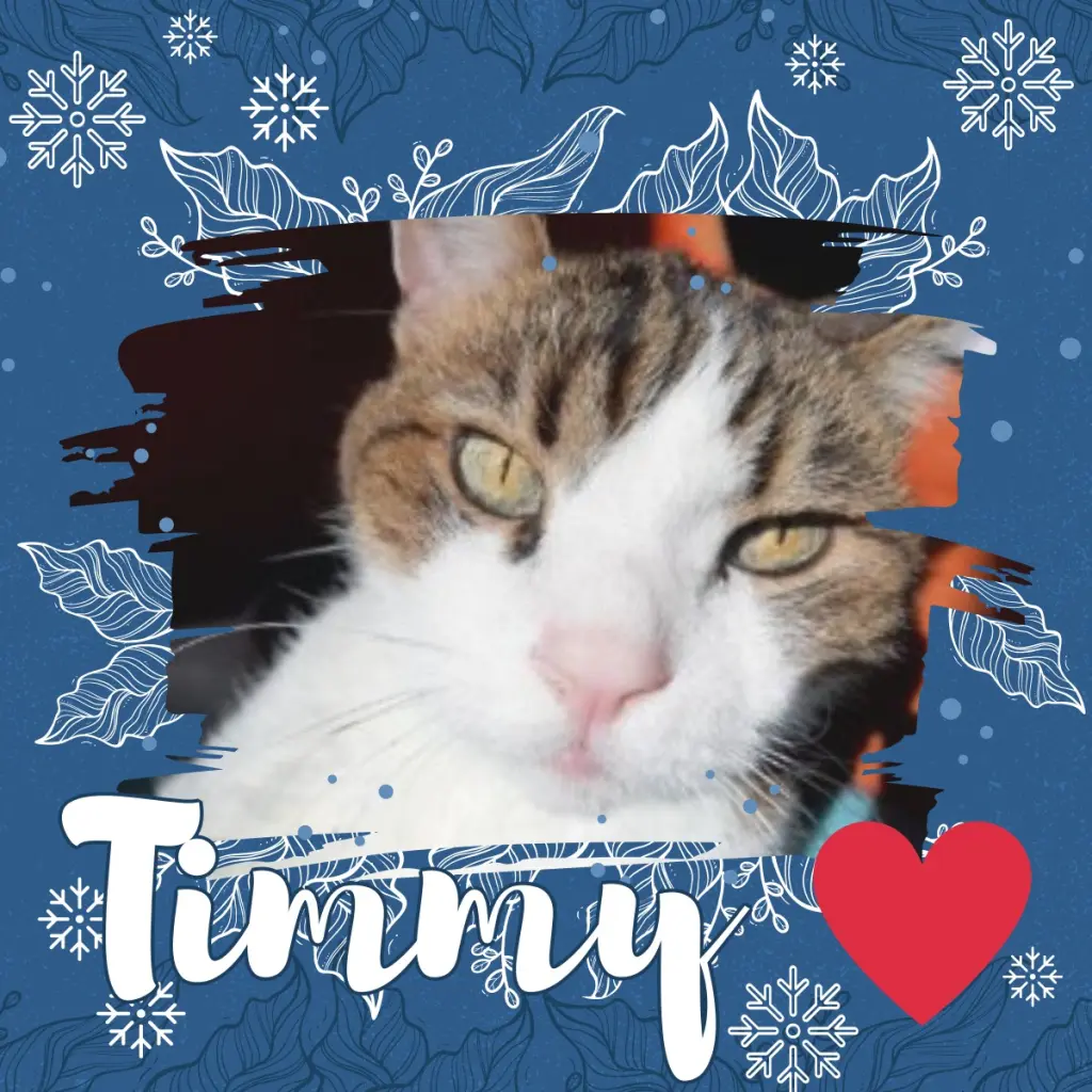 Condolence image of Andrea mit Minki im ♥️