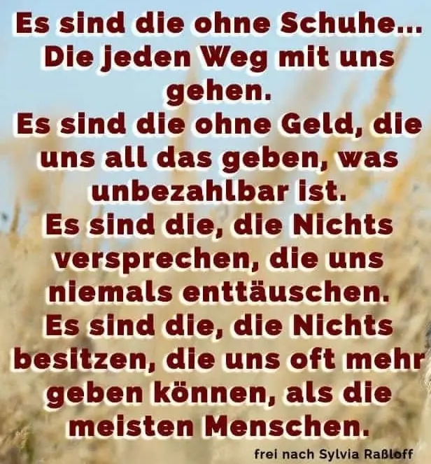 Condolence image of Elisabeth mit Marple im ♥