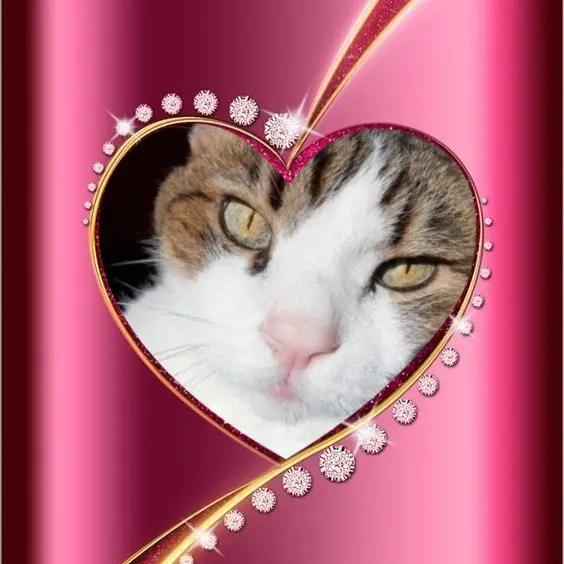 Condolence image of Andrea mit Minki im ♥️