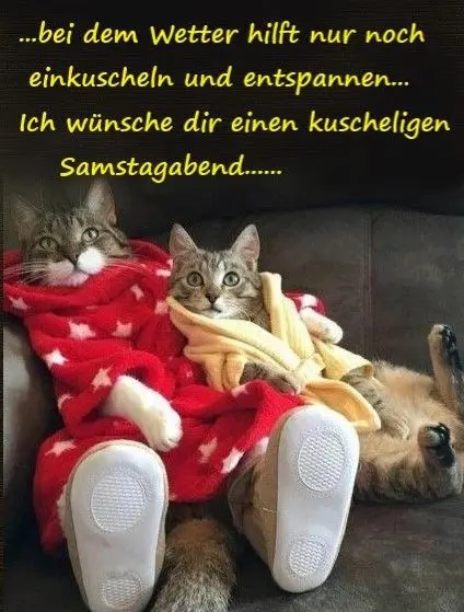 Condolence image of Für das Sternchen Timmy ♥️