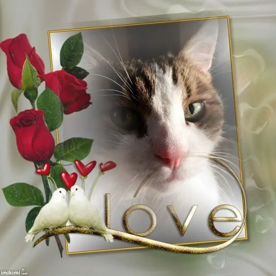 Condolence image of Patricia mit Bunny