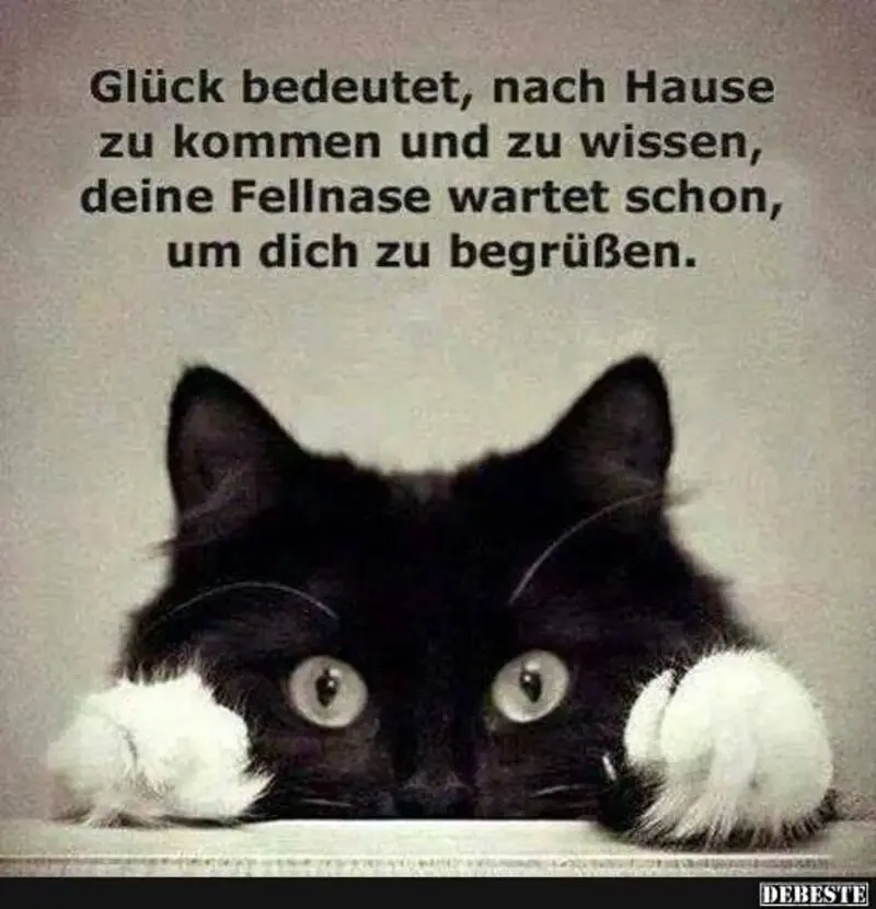 Condolence image of Jutta mit Flash im ❤️