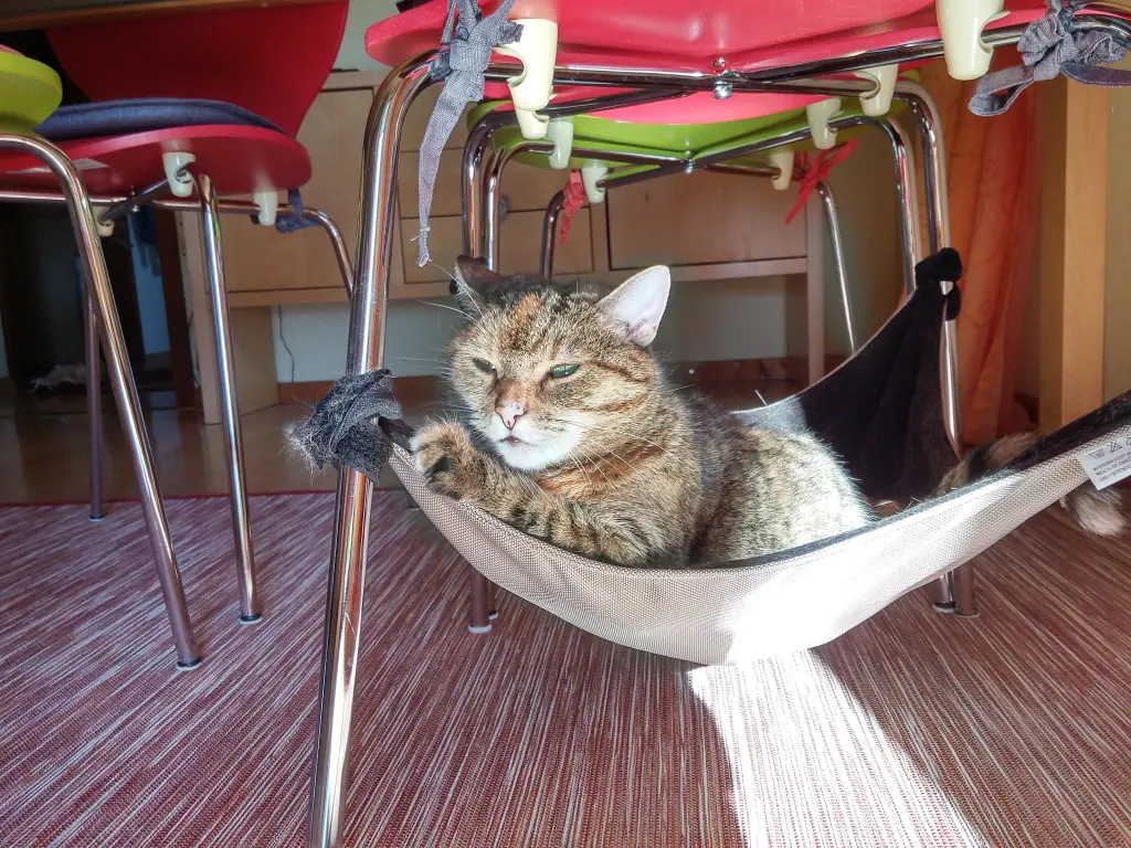 Condolence image of Daniela mit Pauline im ♥️ (+27.05.2021)