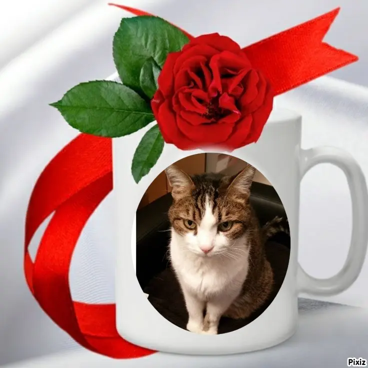 Condolence image of Patricia mit Bunny