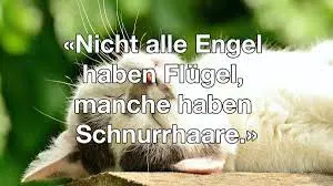 Condolence image of Jutta mit Flash im ❤️