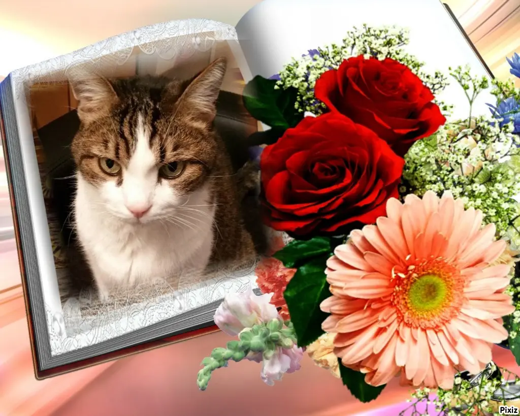 Condolence image of Patricia mit Bunny